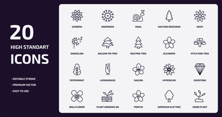 nature outline icons set. nature thin line icons pack such as gerbera, eastern redcedar tree, balsam fir tree, peppermint, plant growing on book, pointia, american elm tree, grow plant vector. - obrazy, fototapety, plakaty