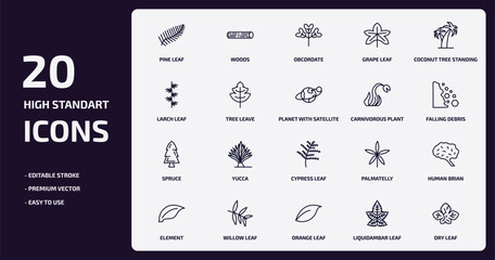 nature outline icons set. nature thin line icons pack such as pine leaf, grape leaf, tree leave, spruce, willow leaf, orange liquidambar dry vector.