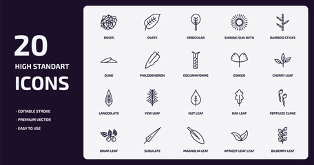 nature outline icons set. nature thin line icons pack such as roses, shining sun with rays, philodendron, lanceolate, subulate, magnolia leaf, apricot leaf leaf, bilberry vector.