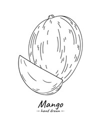 Exotic fruit Mango. Sketch illustration isolated on white background.