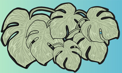 monstera leaf vector illustration