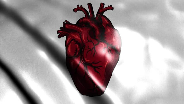 digital animation of Human heart.