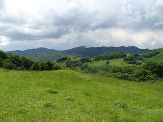 Fototapeta na wymiar landscape with green grass and sky