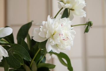 Vase of white peonies in living room, closeup