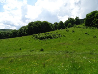 field and blue sky