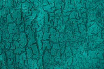cracked turquoise paint on a black background.light blue unusual texture. abstract corrugated turquoise surface
