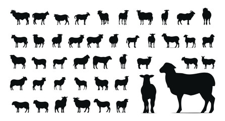 sheep silhouettes set illustration vector