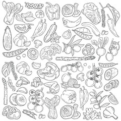 Vegetables doodle drawing collection.