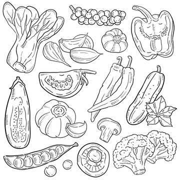 Vegetables doodle drawing collection.