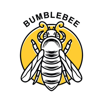 Bumblebee Logo Vector Graphic Design illustration Vintage style Badge Emblem Symbol and Icon