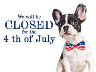 Signboard with the inscription We will be closed for the 4th of July. Cute brown puppy. Closeup, indoors. Studio shot. Congratulations for family, loved ones, friends and colleagues. Pets care concept