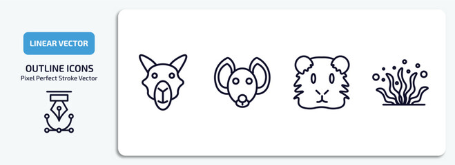 animals collection. outline icons set. animals collection. thin line icons pack included camel, hyena, guinea pig heag, seaweed vector.