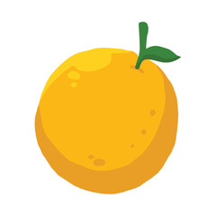 Orange fruit cartoon vector illustration