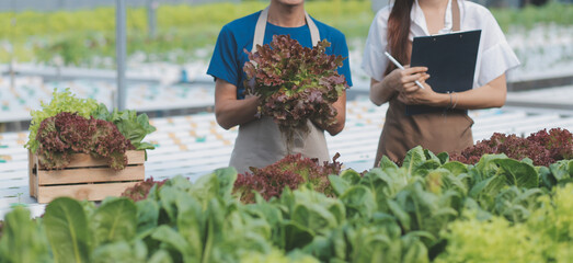 View of an attractive farmer in a greenhouse using tablet