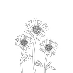 Fototapeta premium Sunflower Coloring Page For Adults