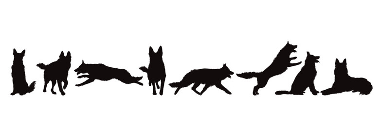 Set of vector silhouettes of different dogs on white background. - 611965409