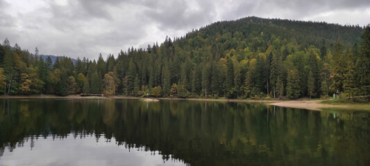 Synevyr lake, Carpathian mountains, Ukraine. Calm water, reflection. Tranquil view. Green and yellow forest, autumn woods. Panoramic. Lake in the mountains. Spruce trees.