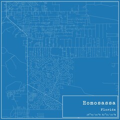 Blueprint US city map of Homosassa, Florida.