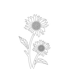 Sunflower Plant Coloring page Outline zentangle Hand Drawn