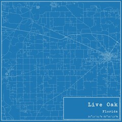 Blueprint US city map of Live Oak, Florida.