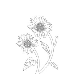 Sunflower Plant Coloring page Outline Hand Drawn