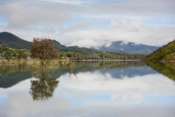 Fototapeta premium Macs Cove, Lake Eildon, Mansfield, Victoria, Australia