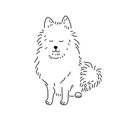 Vector isolated one single cute cartoon sitting pomeranian spitz colorless black and white contour line easy drawing