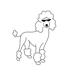 Vector isolated one single cute cartoon funny poodle dog with black sun glasses colorless black and white contour line easy drawing