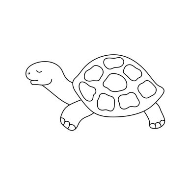 Vector isolated cute cartoon simple turtle side view colorless black and white contour line easy drawing