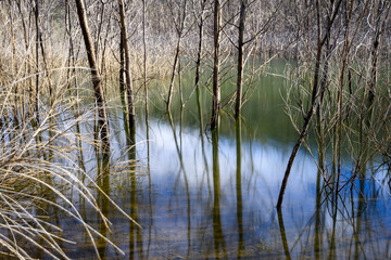 Macs Cove, Lake Eildon, Mansfield, Victoria, Australia