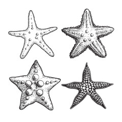 Starfish hand drawn sketch style set. Nature ocean aquatic underwater collection. Marine  fauna engraving illustrations on white background.