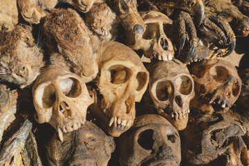 Dried Animal Skulls on the Akodessewa Fetish Market near Togo, West Africa
