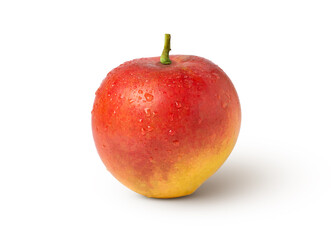 Red mango isolated on white