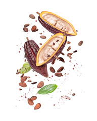 Cocoa fruit, cacao beans with cocoa nibs and chocolate powder flying in the air isolated on white...