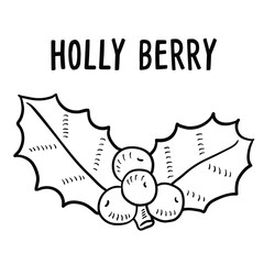 Holly berry. hand-drawn vector illustration.