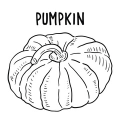 Naklejka premium Vector hand drawn pumpkin Illustration. 