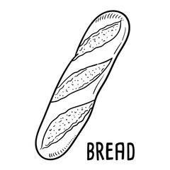 Bread. vector hand drawn illustration