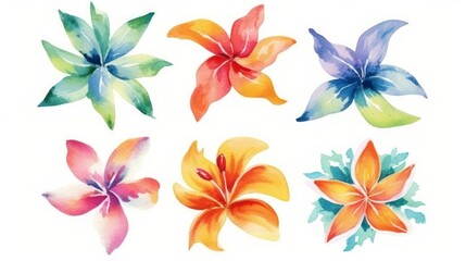 Fototapeta na wymiar Flower Collection from Wallis and Futuna Islands on a Clean White Background. Generative AI