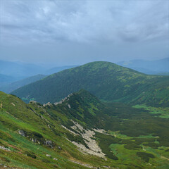 Obraz premium Panorama of the majestic mountain landscape on a cloudy summer day. The paths are lost among the thickets of mountain pine. Pink rhododendron flowers create bright accents