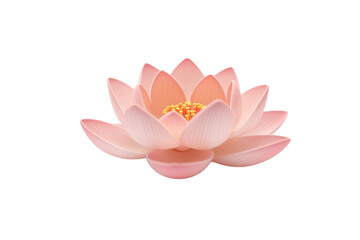 pink lotus flower isolated PNG