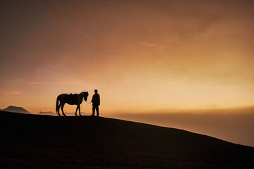 Fototapeta na wymiar Silhouette of horse and rider on sunset