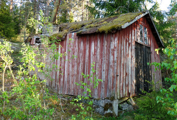 Old abandoned sauna in the woods
