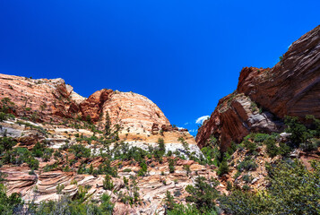 Fototapeta na wymiar Zion National park,Utah,usa. 05/13/2023 : zion narrow in Zion National park,Utah,usa.