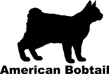 American Bobtail. Cat. silhouette, cat breeds,
