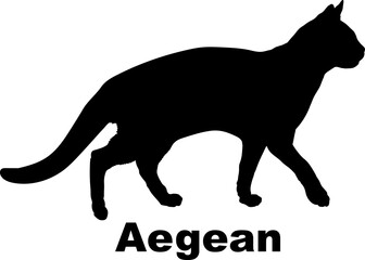 Aegean Cat. silhouette, cat breeds,