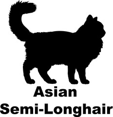Asian Semi-Longhair Cat. silhouette, cat breeds,