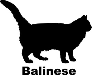 Balinese Cat. silhouette, cat breeds,