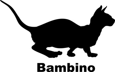 Bambino Cat. silhouette, cat breeds,