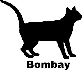 Bombay Cat. silhouette, cat breeds,