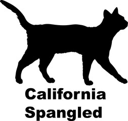 California Spangled Cat. silhouette, cat breeds,